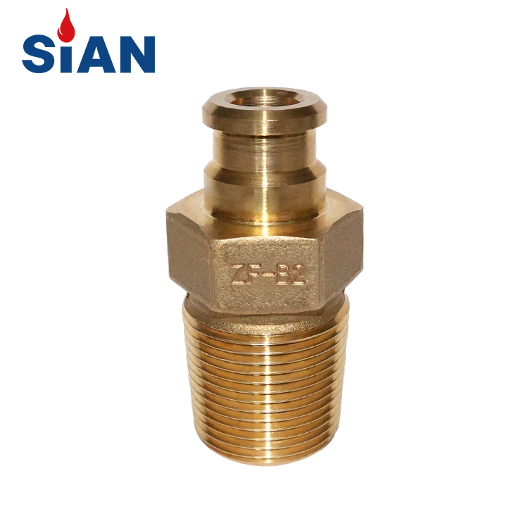 SIAN製造ZF-B1真鍮安全性自己閉鎖LPGガスシリンダースナップバルブ上の自宅で使用する